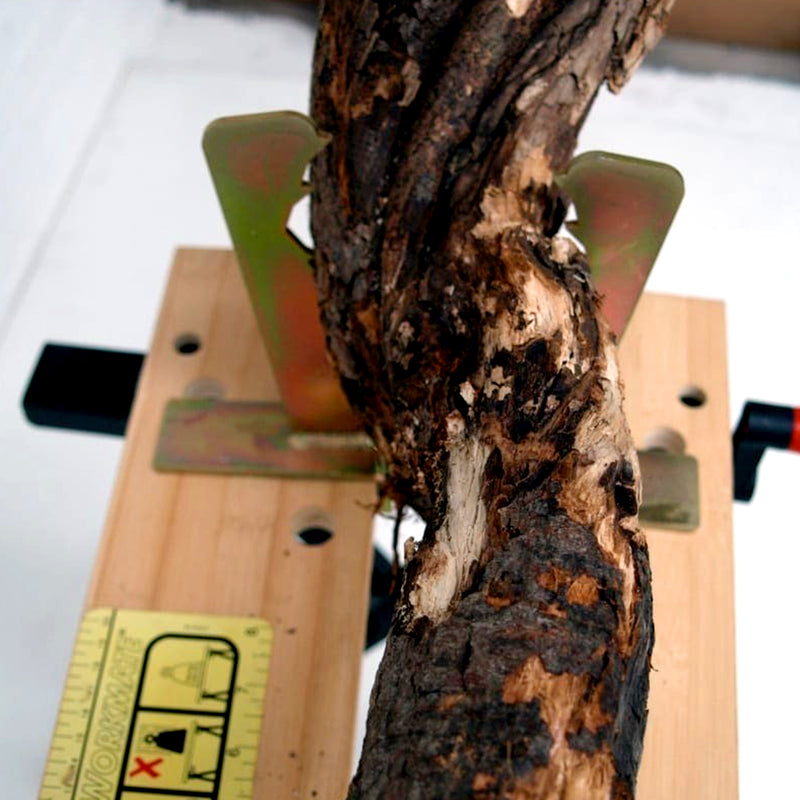 Holzklammern Werkbank | 4er-Set | bis 150 mm | für Motorsägenarbeiten | Forest Master BJL25